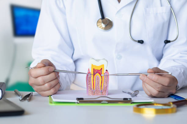 Best Emergency Dentist for Knocked-Out Tooth in New Baden, IL